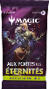 Aux Portes des Eternités - Booster de Jeu