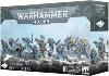 Space Wolves Grey Hunters