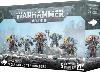 Space Wolves Wolf Guard Terminators